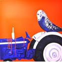 <i>Henry riding Ford Tractor</i> 2013. 910 x 910 mm. oil, enamel on canvas