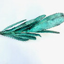 <i>Saw tooth Banksia #2</i>  2025, Bronze (unique). Moulage  la cire perdue(Lost wax casting), Verdigris, L36 x H13 x W10