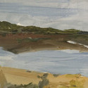 <i>Swamp study #1</i> 2024, Oil on board, 15x 30cm